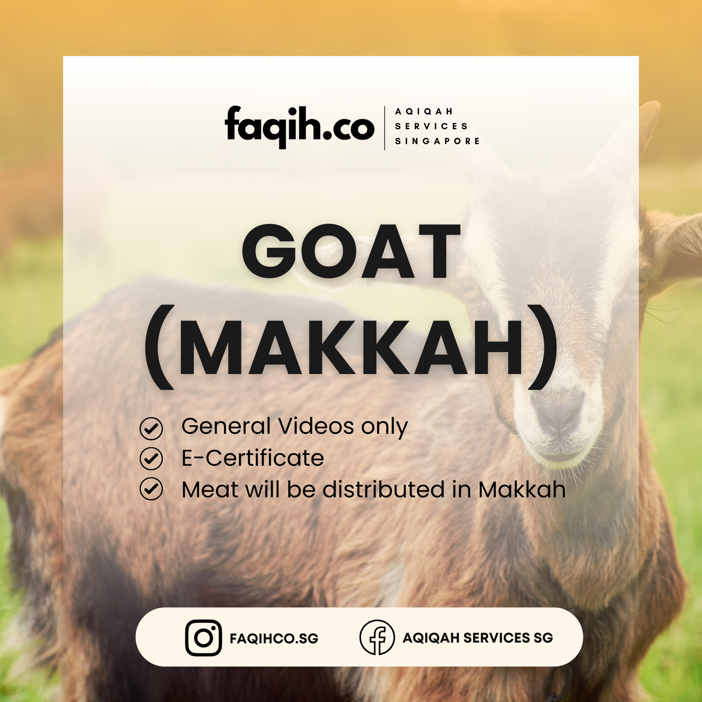 Goat (Makkah)